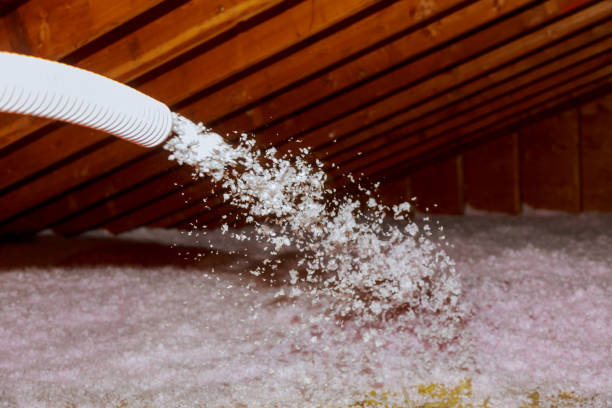 Best Insulation Maintenance and Repair in Parkway, CA